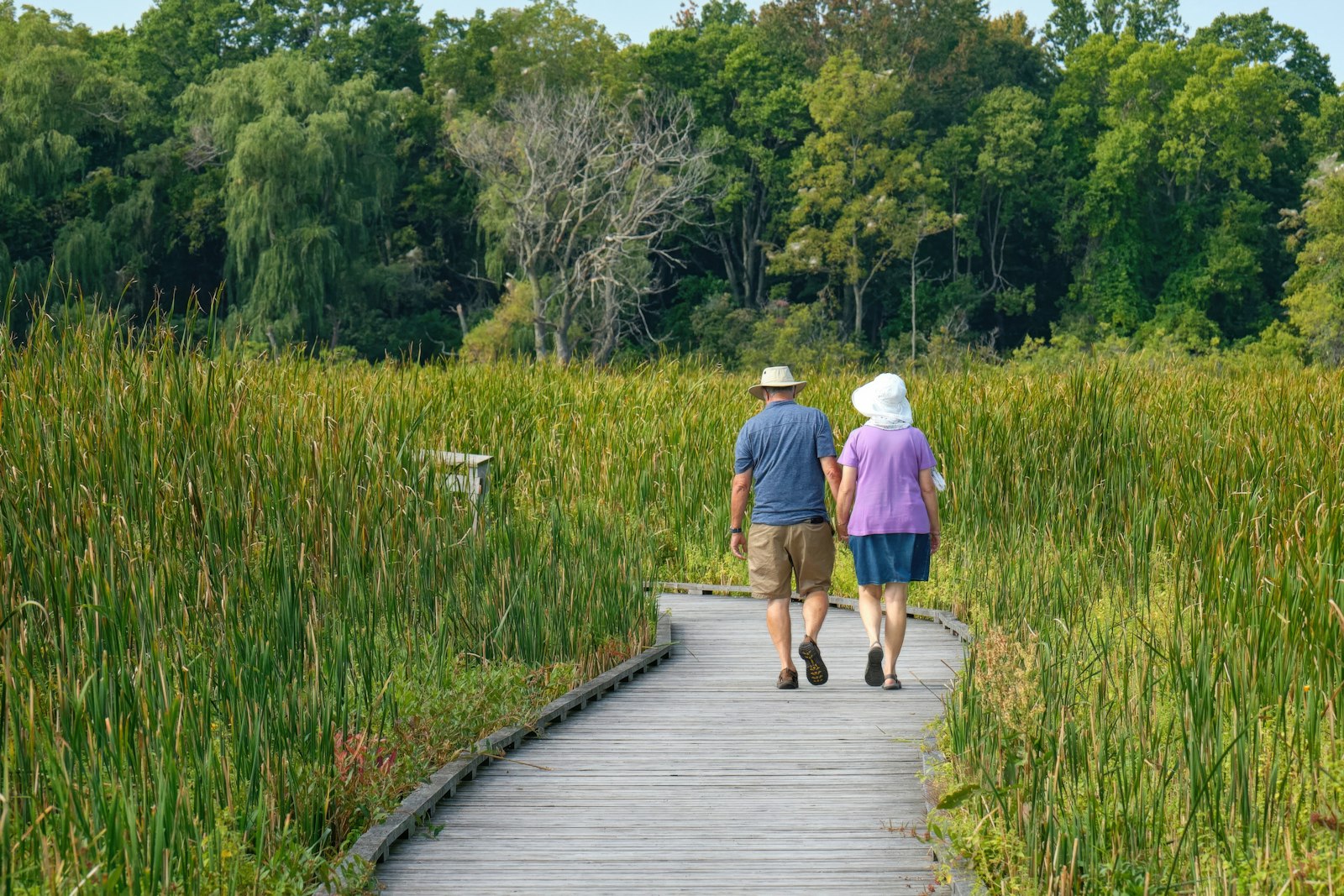 An older couple walking together along a boardwalk through tall grass